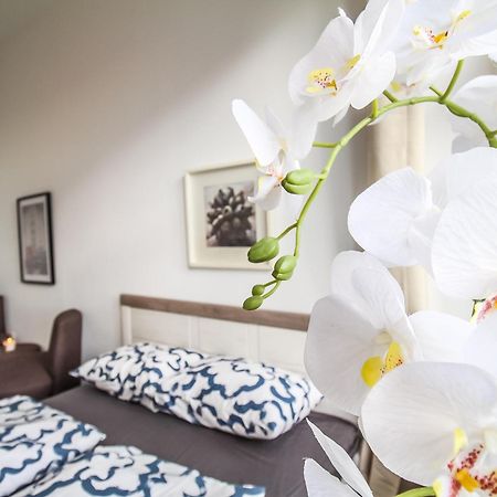 Comfortable Accommodations In The Alterlaa Area Lv6 فيينا المظهر الخارجي الصورة