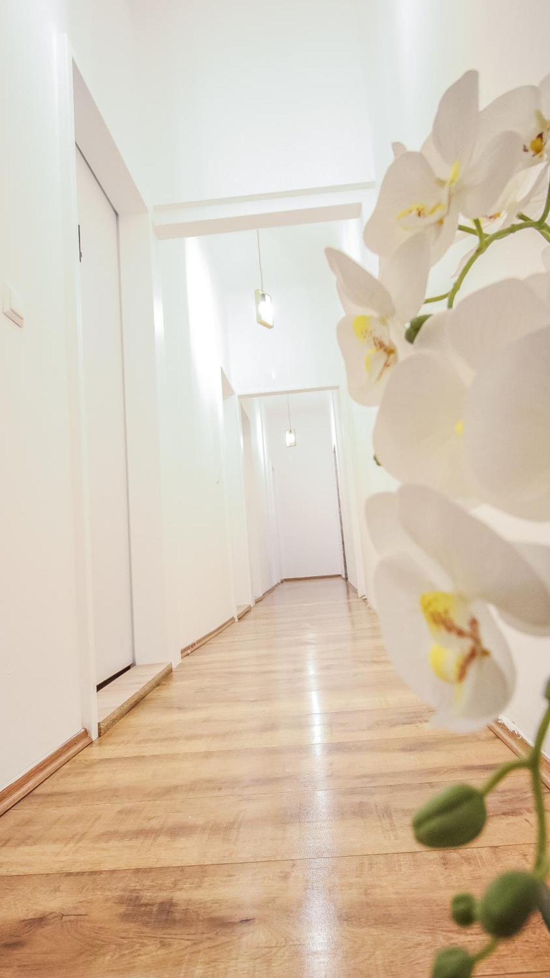 Comfortable Accommodations In The Alterlaa Area Lv6 فيينا المظهر الخارجي الصورة