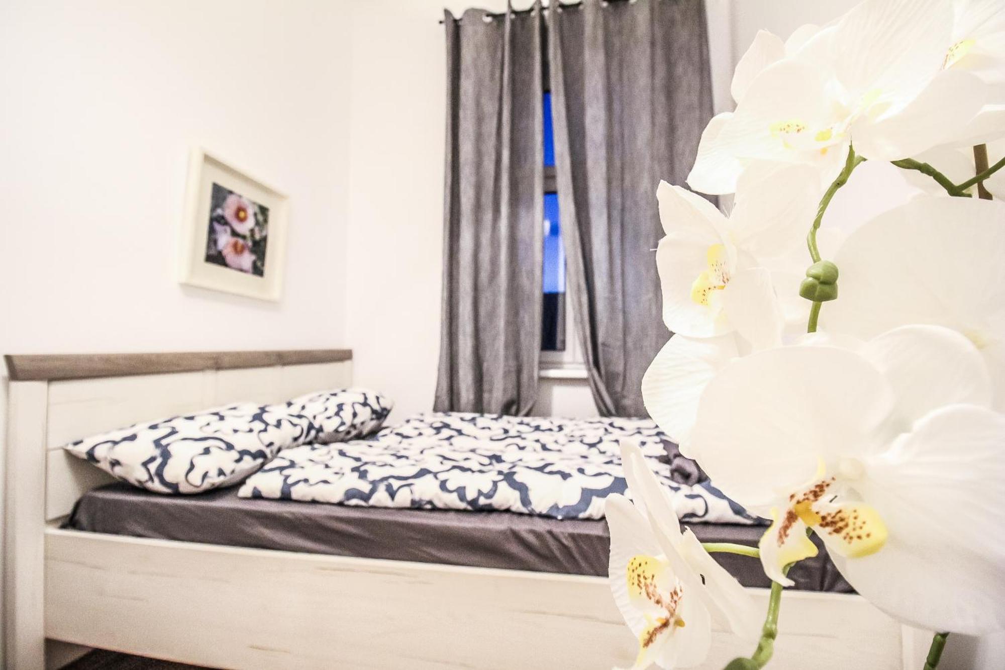 Comfortable Accommodations In The Alterlaa Area Lv6 فيينا المظهر الخارجي الصورة