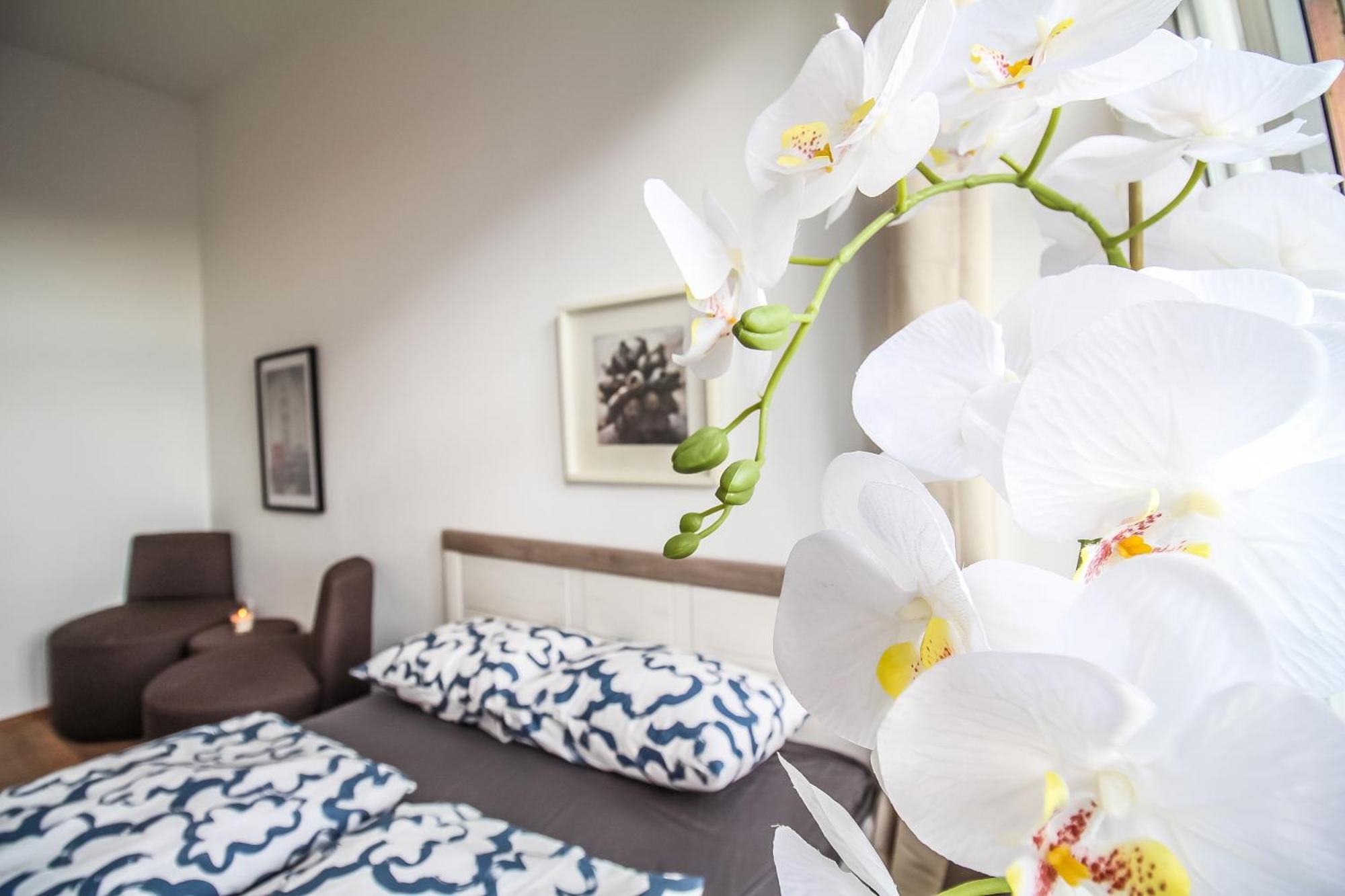 Comfortable Accommodations In The Alterlaa Area Lv6 فيينا المظهر الخارجي الصورة